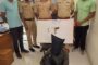 उमरखेड तालुक्यातील नागापूर (रुपाळा) येथील अवैध दारू विक्री त्वरित बंद करा - स्थानिक महिला