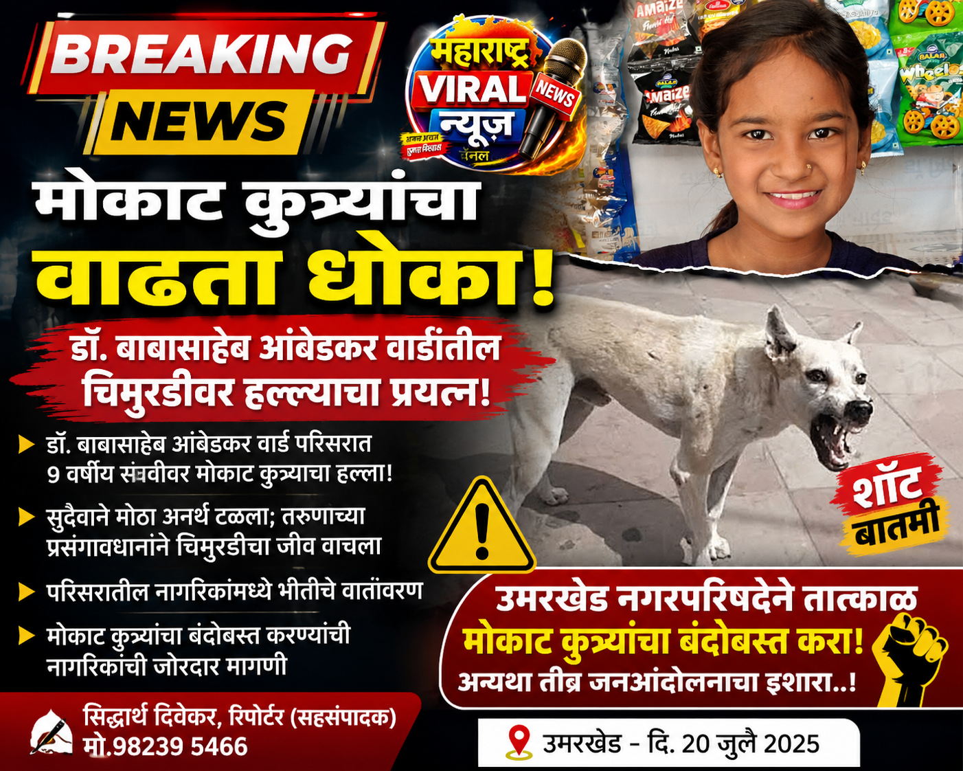 उमरखेड नगर परिषद प्रशासनाने मोकाट कुत्र्यांचा कायमस्वरूपी बंदोबस्त करा; नागरिकांची तीव्र मागणी