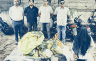 ताजपुरा येथे शासनाने प्रतिबंधीत केलेले एकूण 244 किलो 93 ग्रॅम गोवंश मास व इतर साहीत्य असा एकूण 75,079/- रुचा मुददेमाल जप्त; स्थानिक गुन्हे शाखा यवतमाळ यांची कारवाई